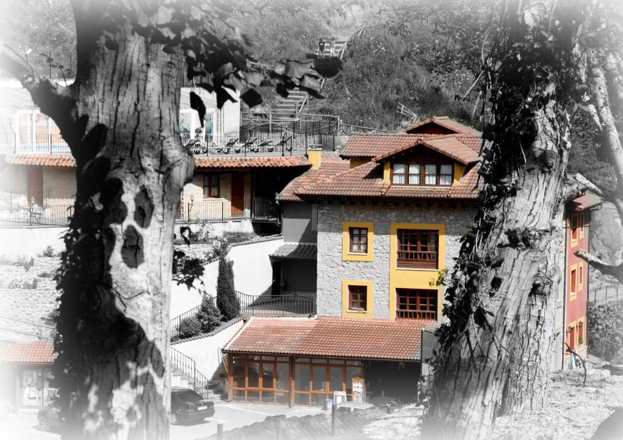 Hotel Puente Vidosa Amieva エクステリア 写真